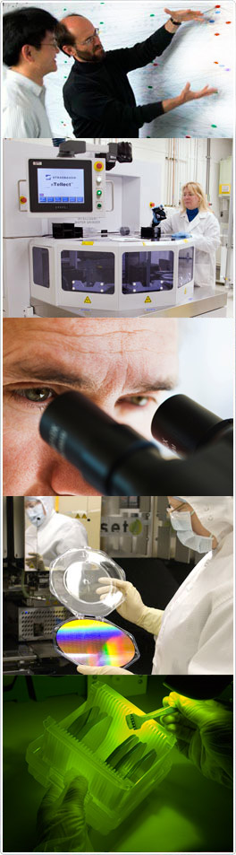 Career Snaps