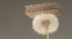 World's Lightest Material